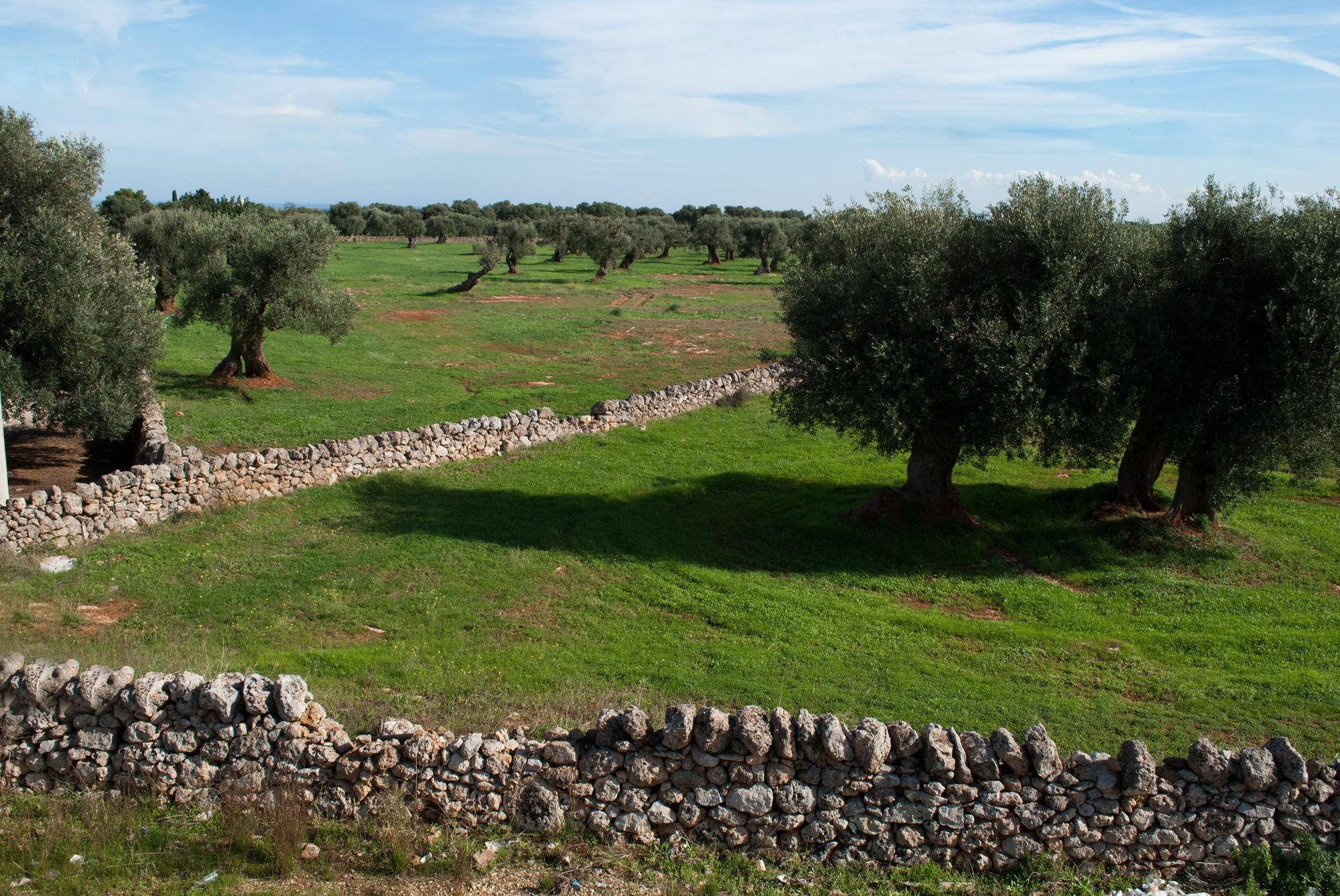 פאסאנו Masseria Lama D'Impisa מראה חיצוני תמונה